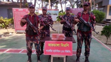 সাতক্ষীরায় ভারতীয় মালামাল জব্দ
